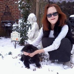 Meet your Posher, Constance